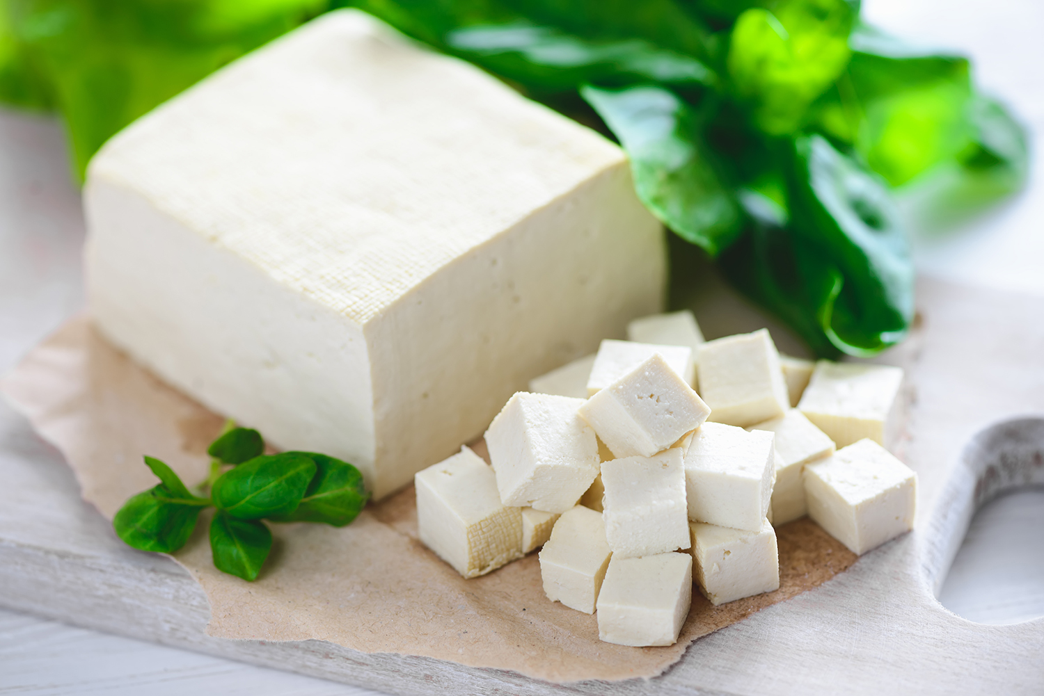 Tofu-natural